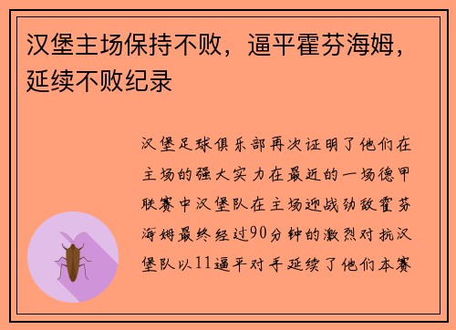 汉堡主场保持不败，逼平霍芬海姆，延续不败纪录