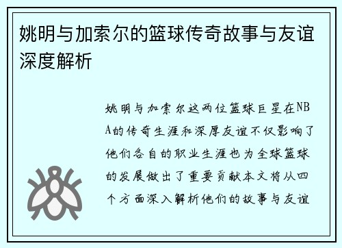姚明与加索尔的篮球传奇故事与友谊深度解析